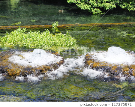 Shizuoka Prefecture, Park with the spring water outlet of Mt. Fuji, May Shizuoka Prefecture, Park with the spring water outlet of Mt. Fuji, May 117275971