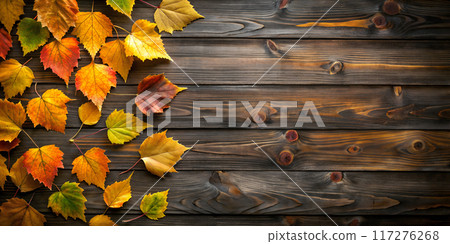 Autumn Background with Birch Leaves on Dark Wood 117276268