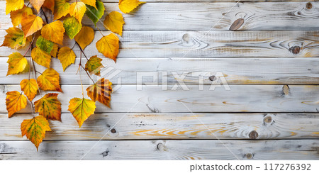 Autumn Background with Birch Leaves on White Wood. Top view Autumn Background with Birch Leaves on White Wood. Top view 117276392
