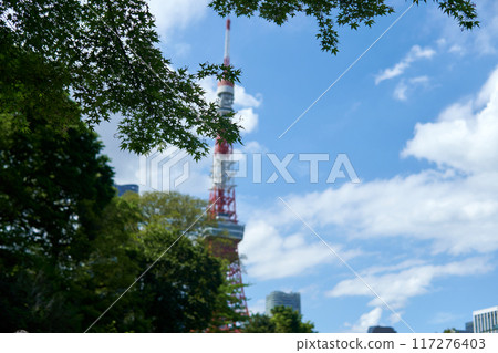 Sky tree seen from the park Sky tree seen from the park 117276403