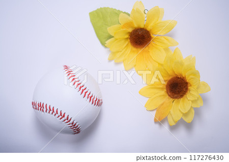 Image of summer, baseball Image of summer, baseball 117276430