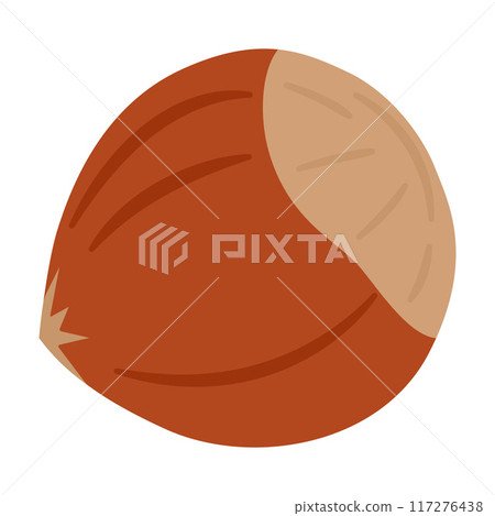 Hazelnut ripe and tasty, healthy snacks. Hand drawn trendy flat style. 117276438