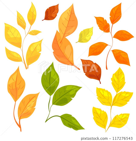 Illustration of various colorful autumn and spring leaves on a white background. Concept of seasonal changes and nature. Vector illustration 117276543