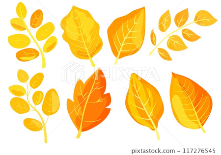Various colorful autumn leaves in different shapes, illustrated in a vibrant graphic style on a white background, representing fall season. Vector illustration 117276545