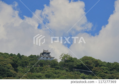 岩國城 白雲與夏日天空背景的岩國城 117277369