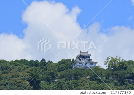 岩國城 白雲與夏日天空背景的岩國城 岩國城 白雲與夏日天空背景的岩國城 117277370