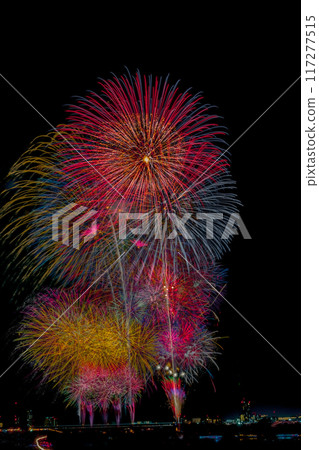 板橋花火大會/戶田橋花火大會（比較光合成） 117277515