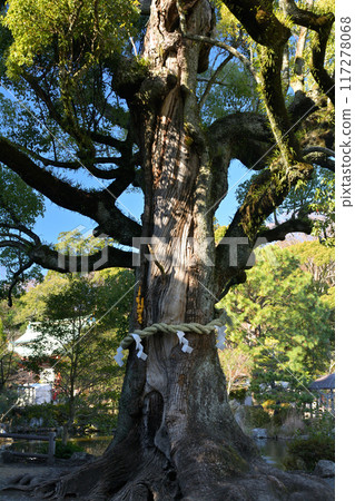 Shizuoka Asama Shrine 117278068