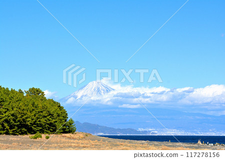 Matsubara, Shizuoka and Miho Matsubara, Shizuoka and Miho 117278156