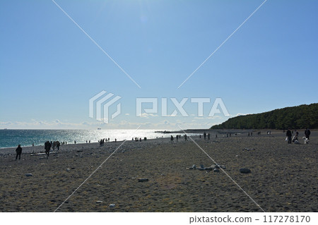 Matsubara, Shizuoka and Miho Matsubara, Shizuoka and Miho 117278170