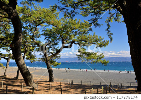 Matsubara, Shizuoka and Miho Matsubara, Shizuoka and Miho 117278174
