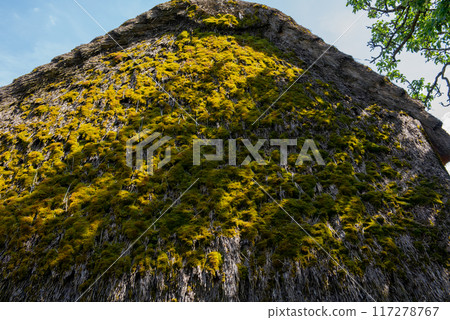 Roof of an old traditional hungarian residential building in skanzen. 117278767