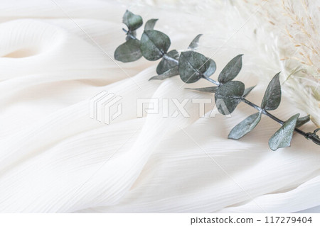 Ribbon and eucalyptus leaves placed on a white cloth Ribbon and eucalyptus leaves placed on a white cloth 117279404