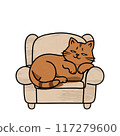 a cat lying on the sofa 117279600