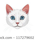 a cat's face 117279602