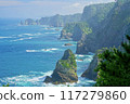 Kitayamasaki在夏天 117279860