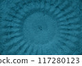 Mystery circles made by Amami star pufferfish, an endemic species of Amami Oshima 117280123