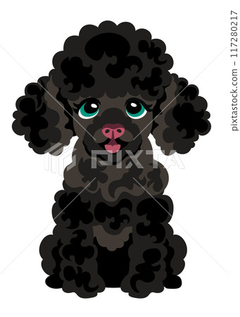 Cute black poodle puppy. Vector isolated illustration Cute black poodle puppy. Vector isolated illustration 117280217