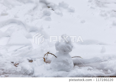 Little Snowman Little Snowman 117280220