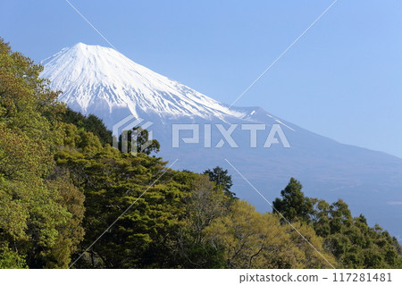 Mt. Fuji wearing snow Mt. Fuji wearing snow 117281481