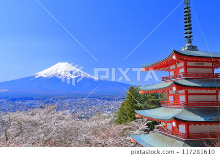 Mount Fuji, cherry blossoms at Arakurayama Sengen Park (Fujiyoshida City, Yamanashi Prefecture) 117281610