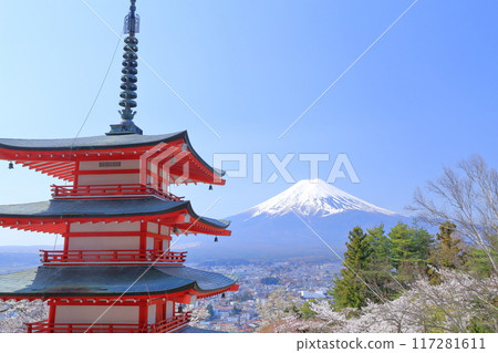 Mount Fuji, cherry blossoms at Arakurayama Sengen Park (Fujiyoshida City, Yamanashi Prefecture) 117281611