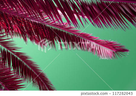 Palm Tree Leaves Against The Green Sky, Juicy Tropical Background Palm Tree Leaves Against The Green Sky, Juicy Tropical Background 117282043