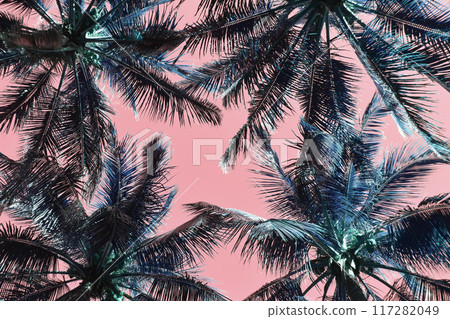Palm Tree Leaves Against The Pink Sky, Juicy Tropical Background Palm Tree Leaves Against The Pink Sky, Juicy Tropical Background 117282049