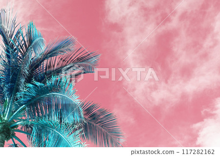 Palm Tree Leaves Against The Pink Sky 117282162