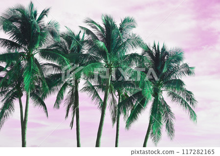 Palm Tree Leaves Against The Pink Sky, Juicy Tropical Background Palm Tree Leaves Against The Pink Sky, Juicy Tropical Background 117282165