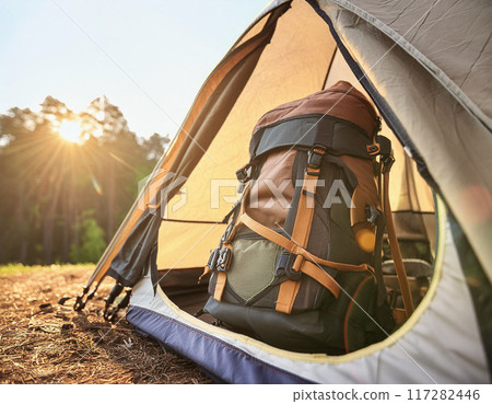 Scenic Campsite Setup in a Forested Wilderness 117282446