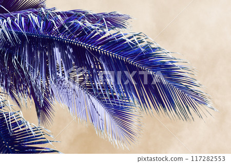 Palm Tree Leaves Against The Yellow Sky, Juicy Tropical Background 117282553