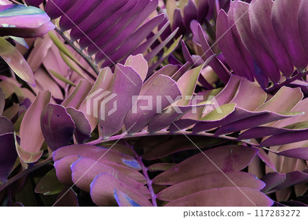 Colorful Leaves Texture, Unusual Floral Background 117283272