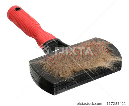 Comb for dogs and cats with fur on isolated background Comb for dogs and cats with fur on isolated background 117283421