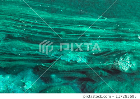 Unusual colorful floral texture, green river slime background 117283693
