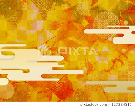 Autumnal maple leaves 117284515