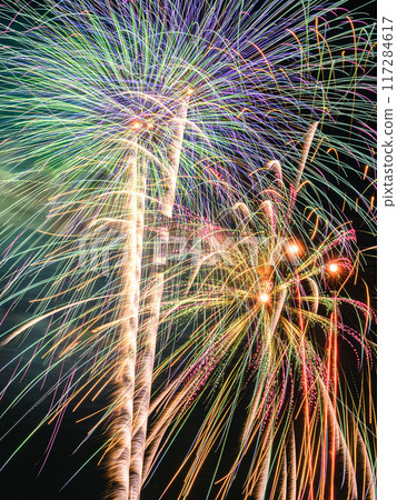 夏季的傳統：點亮夜空的大型煙火（戶田橋板橋煙火大會） 117284617