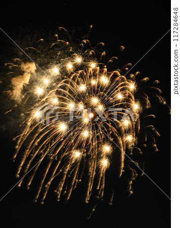 Huge fireworks burst into the night sky (Todabashi Fireworks Festival) Huge fireworks burst into the night sky (Todabashi Fireworks Festival) 117284648