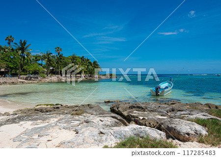 Rocky beach in Akumal 117285483