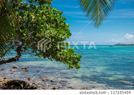 Rocky beach in Akumal 117285484