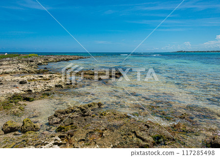 Rocky beach in Akumal Rocky beach in Akumal 117285498