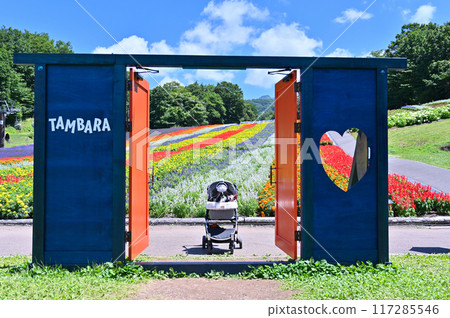 A summer getaway for two Chihuahuas: a cute door makes for great Instagram photos (Tanbara Lavender Park, Numata City, Gunma Prefecture) 117285546