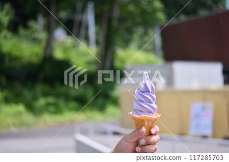 A woman eating lavender soft serve (Tanbara Lavender Park, Numata City, Gunma Prefecture) A woman eating lavender soft serve (Tanbara Lavender Park, Numata City, Gunma Prefecture) 117285703