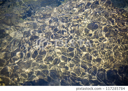光與水的交織之美 117285784