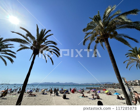 馬略卡 馬略卡 117285878