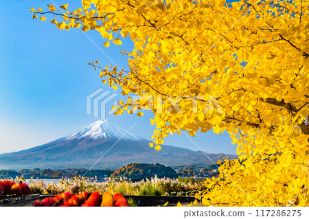 Mt. Fuji and autumn leaves - Oishi Park at Lake Kawaguchi dyed in autumn leaves - Mt. Fuji and autumn leaves - Oishi Park at Lake Kawaguchi dyed in autumn leaves - 117286275