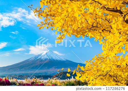 富士山和紅葉～被紅葉染紅的河口湖大石公園～ 117286276