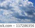藍天白雲 117286356
