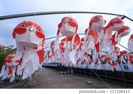 柳井金魚元宵節2384 柳井金魚元宵節2384 117286415