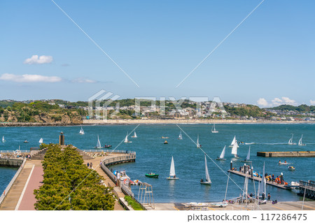 [Kanagawa Prefecture] Shonan sea and blue sky 117286475